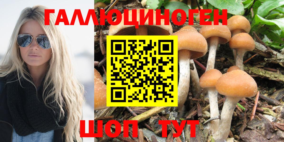 Псилоцибиновые грибы мицелий Мыски