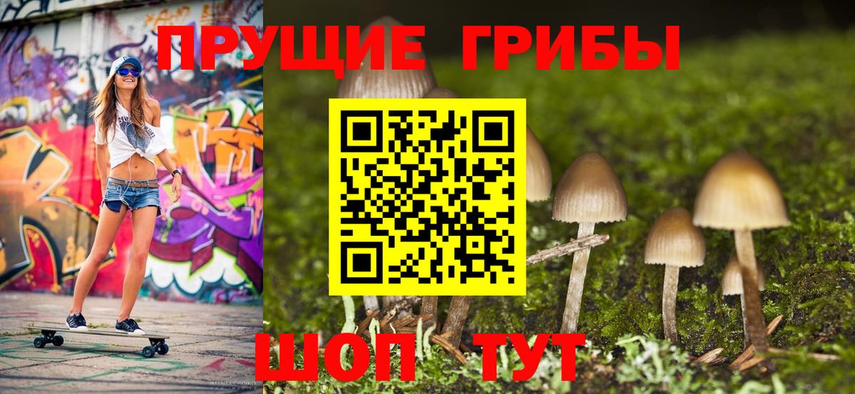 Галлюциногенные грибы Psilocybine cubensis  Псилоцибиновые грибы прущие грибы  Вход с VPN  Мыски 